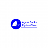 Agnes Banks Equine