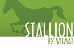 Stallion-1